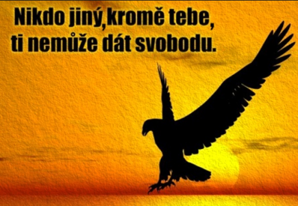 svoboda