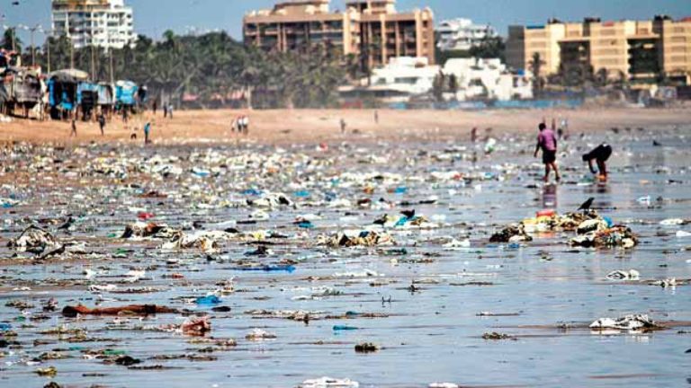 Máme látku, která dokonale rozloží plast, oznámili vědci