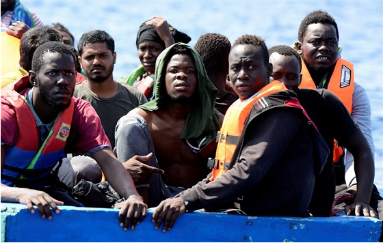 Redakce obdržela mejlík z Itálie, kde také věnují pozornost tadescu, se zajímavým obsahem