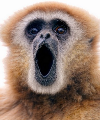 Doba si to vyžádala