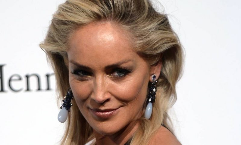 Putin je dobrý lídr své země, prohlásila herečka Sharon Stone