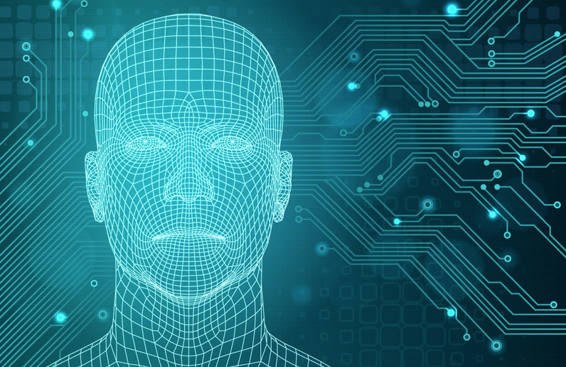 Digitální vězení