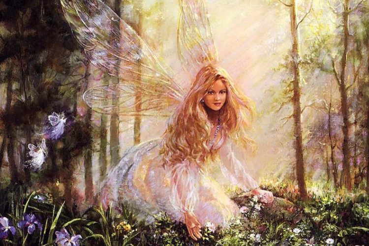 Žádost o pomoc při záchraně Přírodního parku Fénix Nečtiny