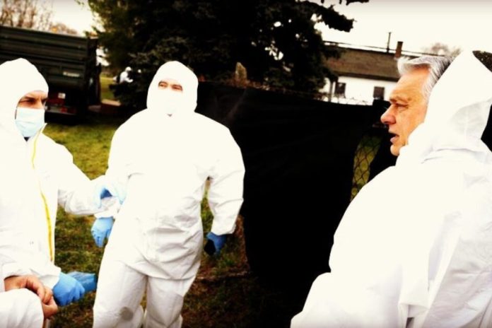 hungary-orban-foot-and-mouth-disease-2025