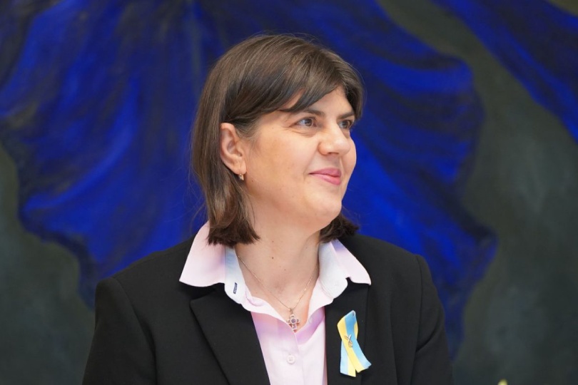 Hlavními pachateli podvodů v&nbsp;Evropě nejsou jen zločinci, ale i&nbsp;politici